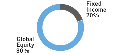 Global Equity 80%, Fixed Income 20%