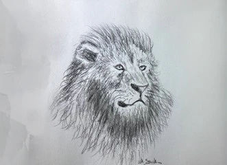 lion
